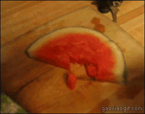 海量搞笑GIF动态图片 - Funny GIF Pictures