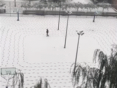 海量搞笑GIF动态图片 - Funny GIF Pictures