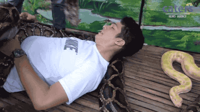 海量搞笑GIF动态图片 - Funny GIF Pictures