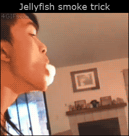 海量搞笑GIF动态图片 - Funny GIF Pictures