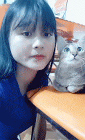 海量搞笑GIF动态图片 - Funny GIF Pictures