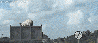 海量搞笑GIF动态图片 - Funny GIF Pictures