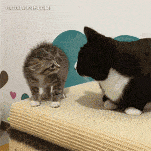 海量搞笑GIF动态图片 - Funny GIF Pictures