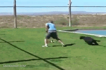 海量搞笑GIF动态图片 - Funny GIF Pictures