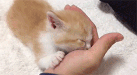 海量搞笑GIF动态图片 - Funny GIF Pictures