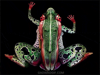 海量搞笑GIF动态图片 - Funny GIF Pictures