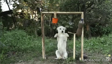 海量搞笑GIF动态图片 - Funny GIF Pictures