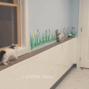 海量搞笑GIF动态图片 - Funny GIF Pictures