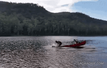 海量搞笑GIF动态图片 - Funny GIF Pictures