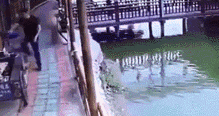 海量搞笑GIF动态图片 - Funny GIF Pictures