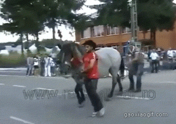 海量搞笑GIF动态图片 - Funny GIF Pictures