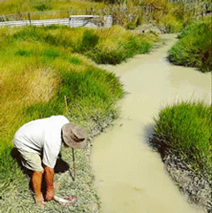 海量搞笑GIF动态图片 - Funny GIF Pictures